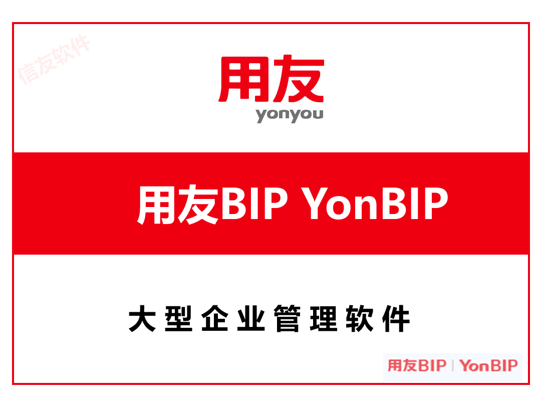 用友 BIP
